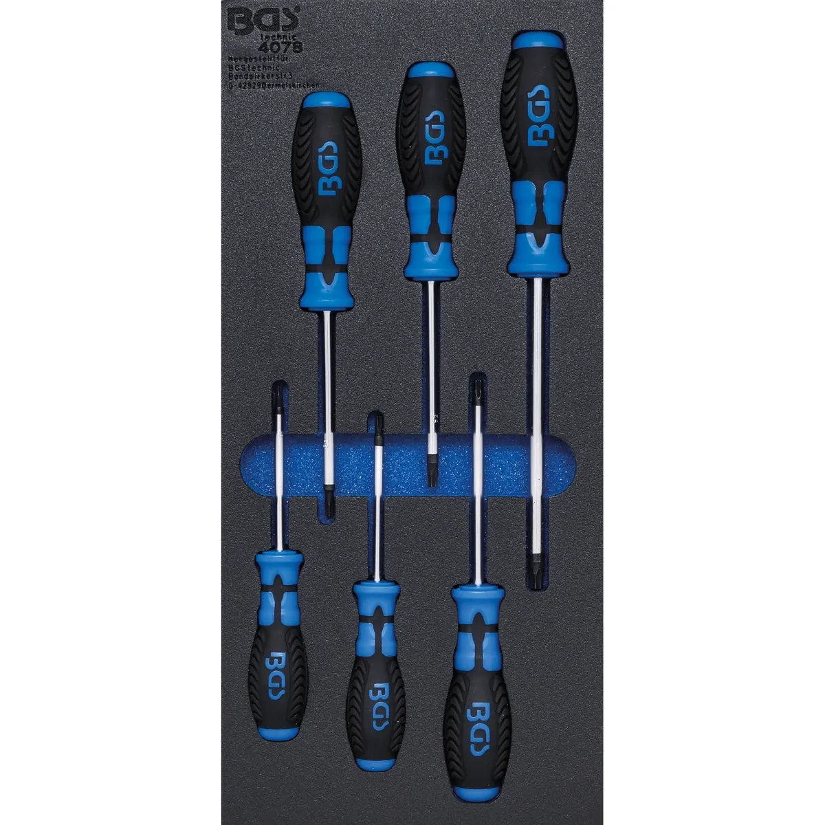 BANDEJA PARA GABINETE 1/3: DESTORNILLADORES PERFIL EN T (PARA TORX) | 6 PIEZAS