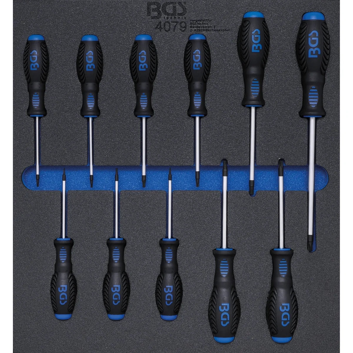 BANDEJA PARA GABINETE 2/3: DESTORNILLADORES PERFIL EN T (PARA TORX) | T6 - T40 | 11 PIEZAS
