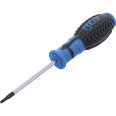 DESTORNILLADOR T15 X 80 MM